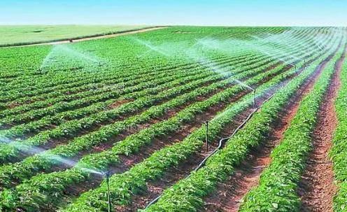 女生让男生使劲捅操逼视频草莓视频农田高 效节水灌溉
